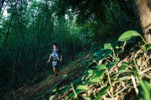 BIB: 
                            <button type="button" onclick="openModal(28123502)" class="btn btn-primary btn-sm float-right btn-popup" data-toggle="modal" data-target=".modal-high-quality">
                        <i class="fas fa-shopping-cart"></i> Add to Cart
                    </button>
                                            <button type="button" onclick="isThisMe(28123502, true)" class="btn btn-success btn-sm float-right btn-popup btn-isme hidden" data-toggle="tooltip" data-placement="bottom" title="นี่คือรูปของคุณใช่ไหม คลิกที่นี่เพื่อเอาเข้าอัลบั้ม">
                        <i class="fas fa-plus"></i> Add to album
                    </button>
                    <button type="button" onclick="isThisMe(28123502, false)" class="btn btn-warning btn-sm float-right btn-popup btn-isnotme hidden">
                        <i class="fas fa-ban"></i> Remove from album
                    </button>